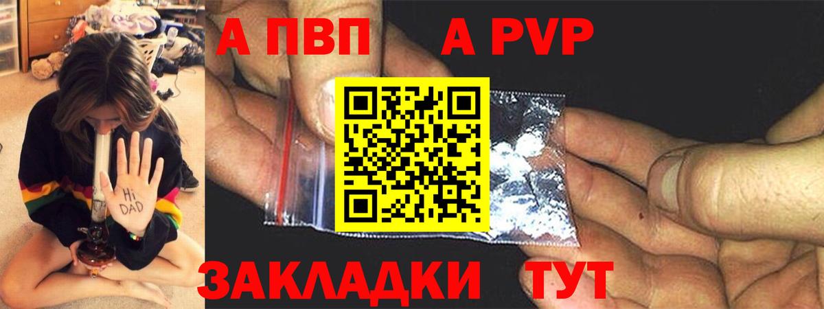 A PVP СК КРИС Тобольск