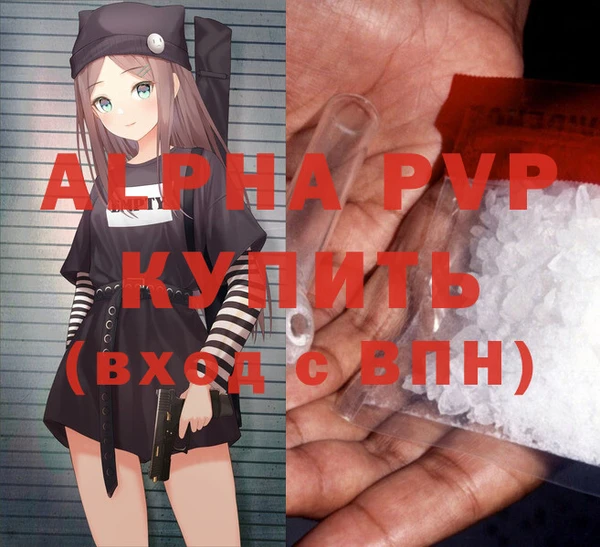 ПСИЛОЦИБИНОВЫЕ ГРИБЫ Каменка