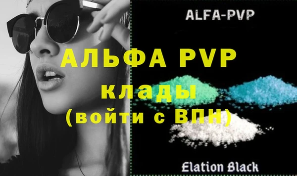 apvp Инсар