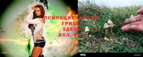 мяу мяу кристалл Алзамай
