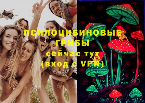 ALPHA PVP Алексин
