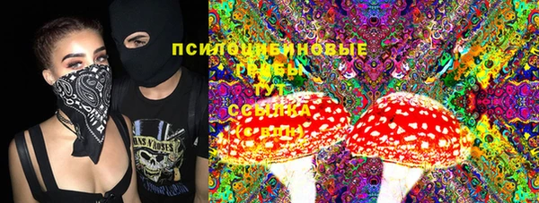 прущая мука Аркадак