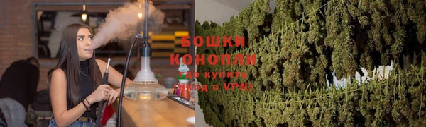 прущий лед Инта