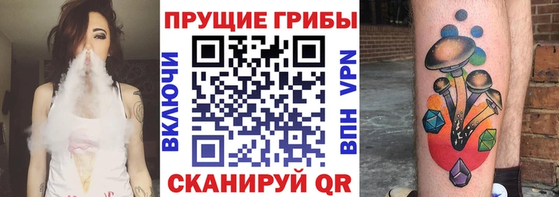 Галлюциногенные грибы GOLDEN TEACHER  Тобольск 